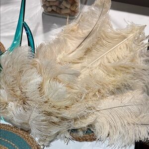 Elegant Premium Cream Ostrich Feathers EUC 16”-24” Set of 10